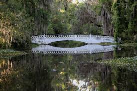 Magnolia Plantation